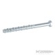 Concrete Masonry Bolts 10pk - M12 x 150mm