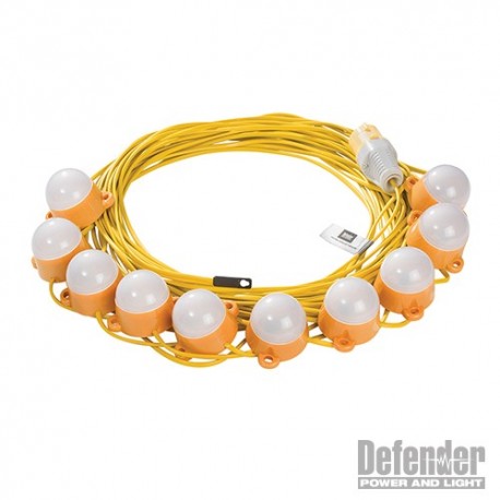 110V 22M CAPSULATED LED FESTOON - 110V